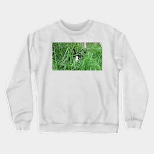 Hidden Cat Crewneck Sweatshirt